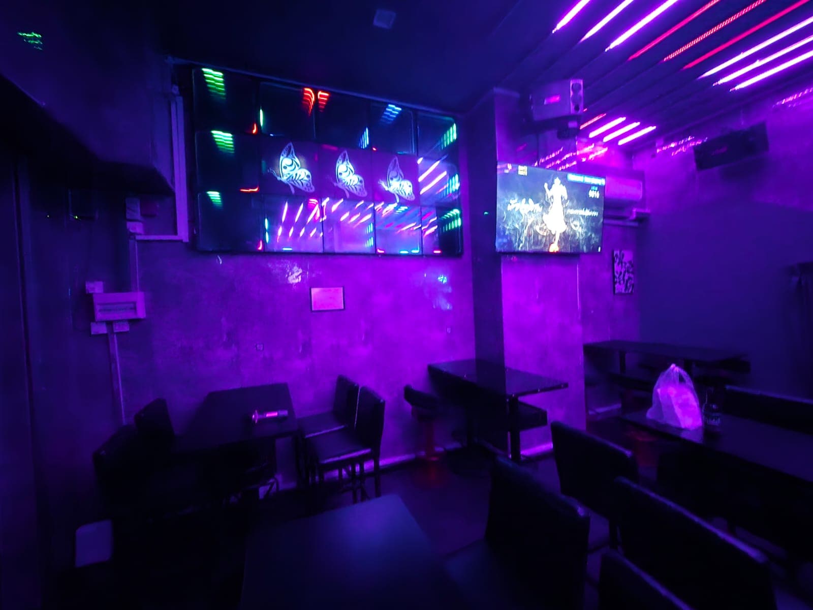 Night Butterfly Club - Image 3